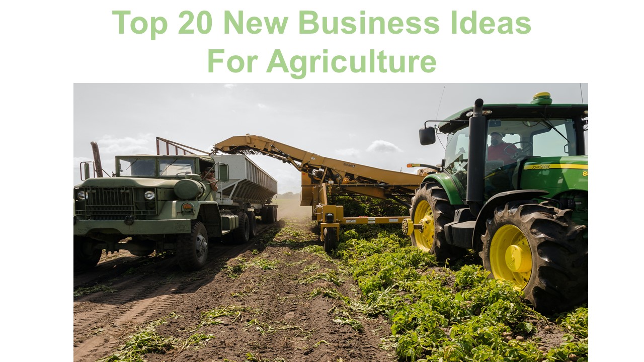 new business ideas in agriculture sector