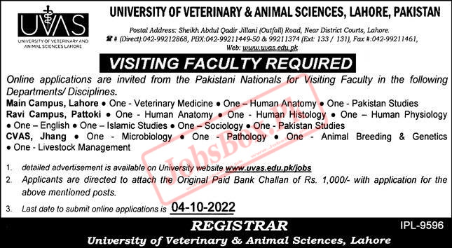 UVAS Jobs 2022 Announcement for Visiting Faculty