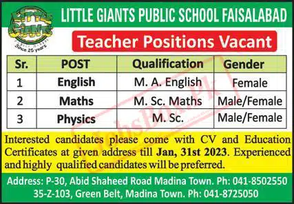 Little Giants Public School Faisalabad Jobs 2023