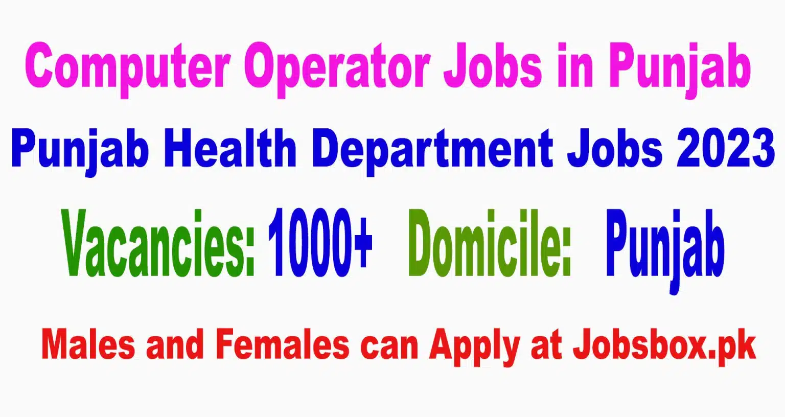 Computer Operators in Punjab Jobs 2023