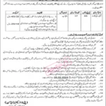 Lahore Museum Jobs 2024