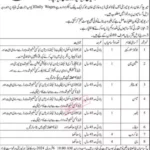 Mir Chakar Khan Rind University Technology Dera Ghazi Khan Jobs 2024