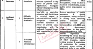 Jobs in 2024 at the Punjab Higher Education Commission