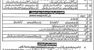 Job Opportunities for Constables and Lady Constables in Punjab Police 2024
