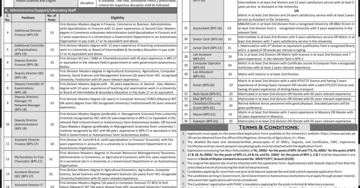 یونیورسٹی آف ایگریکلچر ڈیرہ اسماعیل خان میں 2024 کی نئی نوکریاں