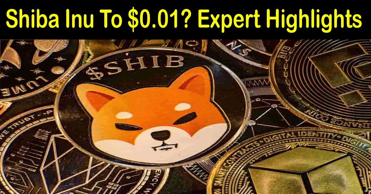 15 Compelling Reasons Why SHIB Might Reach $0.01: Insights from an Expert