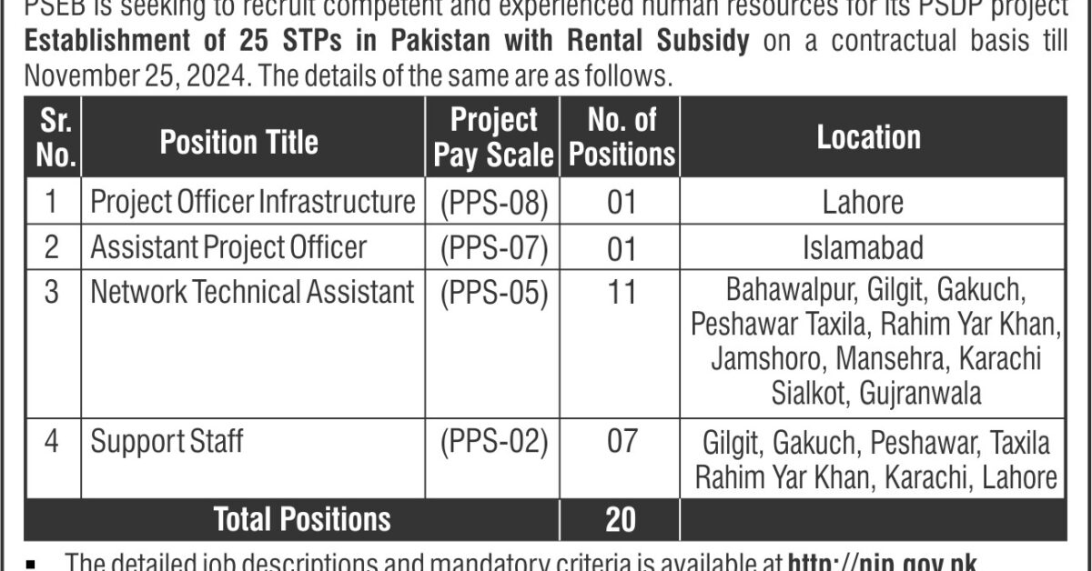 PSEB Pakistan Software Export Board PPS-02 to PPS-08 Jobs 2024