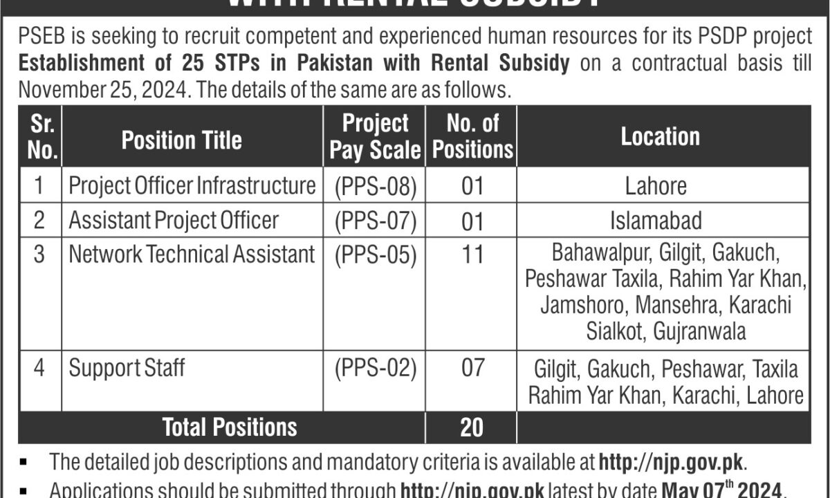 PSEB Pakistan Software Export Board PPS-02 to PPS-08 Jobs 2024