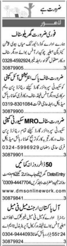 Field Worker & Data Entry Operator Jobs 2024 In Lahore