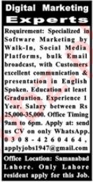 Digital Marketing Experts Jobs 2024