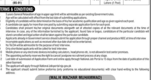 Federal Government Ministry of Energy (Petroleum Division) Regular Job May 2024