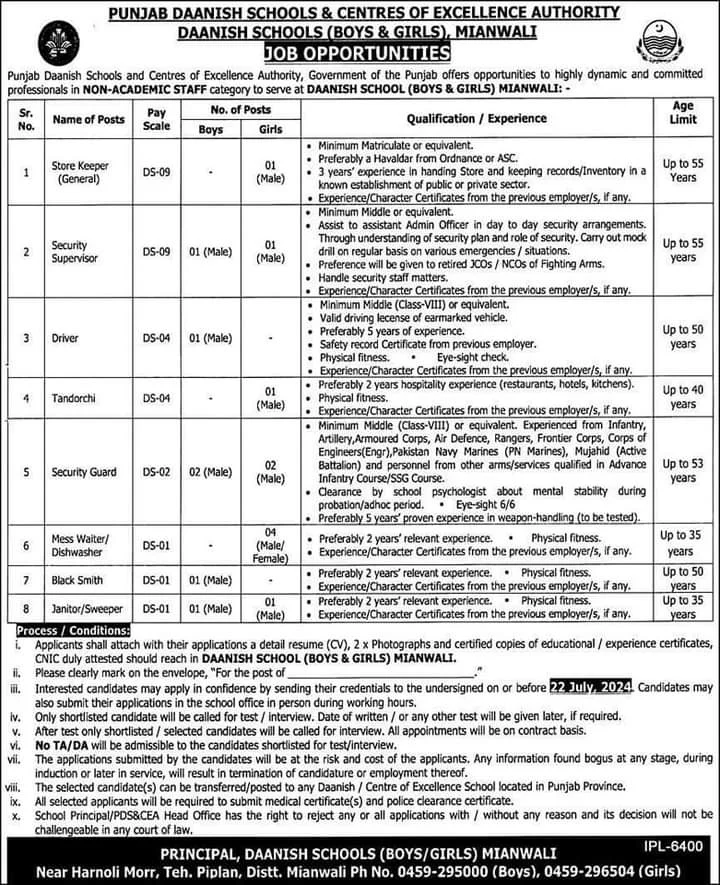 Punjab Daanish School Mianwali Jobs 2024 Advertisement