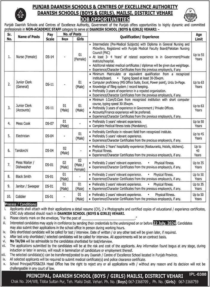 Punjab Daanish School Vehari Jobs 2024 Advertisement