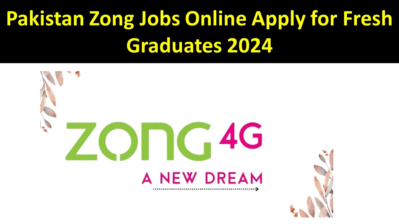 Pakistan Zong Jobs Online Apply for Fresh Graduates 2024