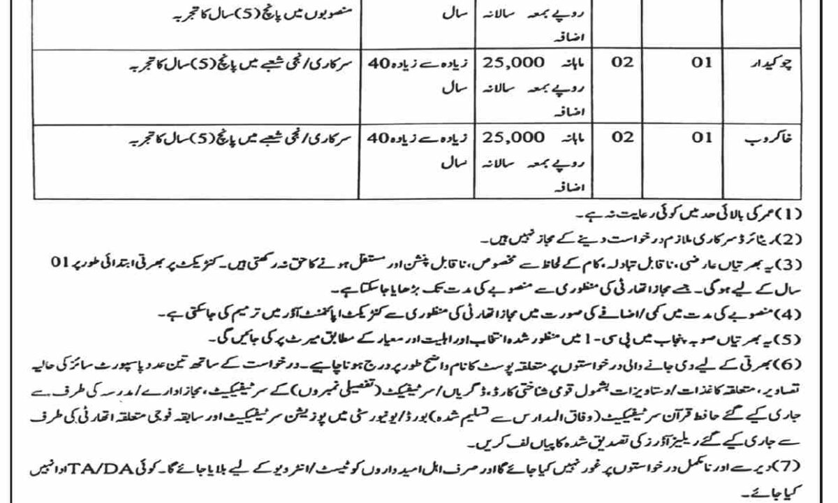 Punjab Irrigation Department Jobs 2024