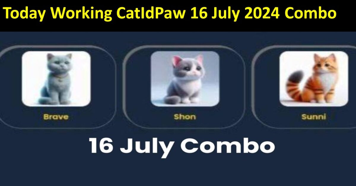 Today Working CatIdPaw 16 July 2024 Combo