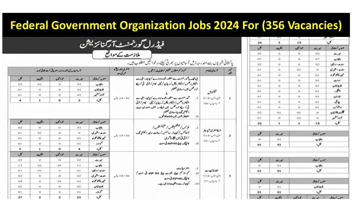 Federal Government Organization Jobs 2024 For (356 Vacancies)