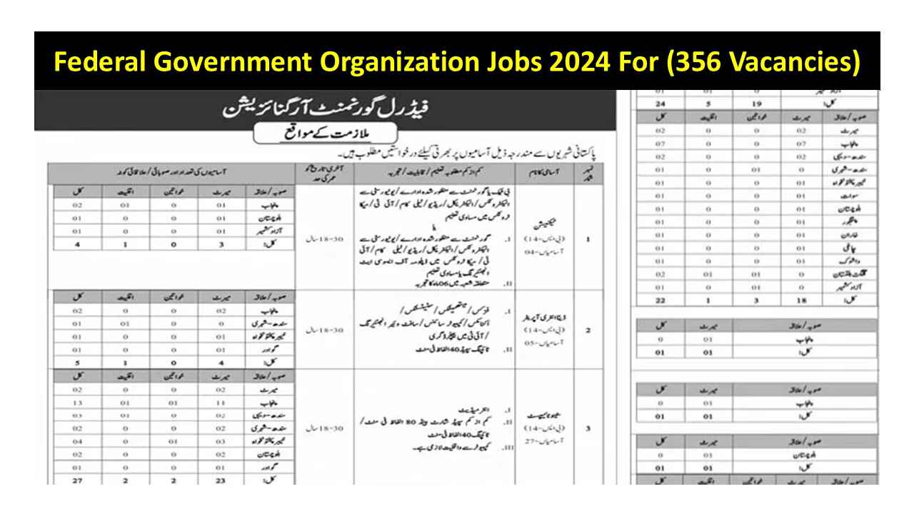 Federal Government Organization Jobs 2024 For (356 Vacancies)