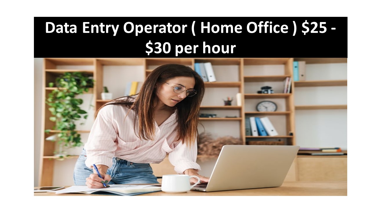 Data Entry Operator 