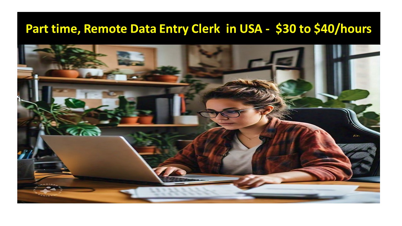 Part time, Remote Data Entry Clerk  in USA -  $30 to $40/hours