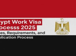 Egypt Work Visa Process 2025