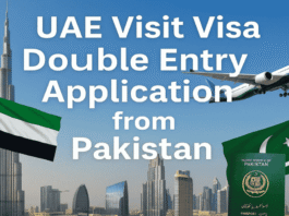 UAE Visit Visa Double Entry Application from Pakistan