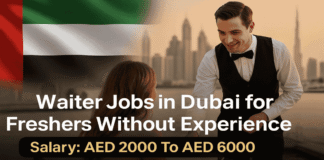 Waiter Jobs in Dubai for Freshers Without Experience